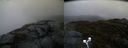 ./images/calvert/buxton2/20200425/buxton220200425_065502M.jpg