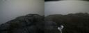 ./images/calvert/buxton2/20200425/buxton220200425_100003M.jpg