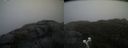 ./images/calvert/buxton2/20200425/buxton220200425_101003M.jpg