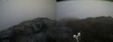 ./images/calvert/buxton2/20200425/buxton220200425_104503M.jpg