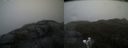 ./images/calvert/buxton2/20200425/buxton220200425_132003M.jpg