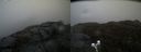 ./images/calvert/buxton2/20200425/buxton220200425_143502M.jpg