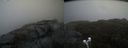 ./images/calvert/buxton2/20200425/buxton220200425_144002M.jpg