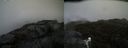 ./images/calvert/buxton2/20200425/buxton220200425_145502M.jpg