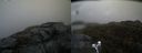 ./images/calvert/buxton2/20200425/buxton220200425_151002M.jpg