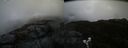 ./images/calvert/buxton2/20200425/buxton220200425_152503M.jpg