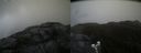 ./images/calvert/buxton2/20200425/buxton220200425_155503M.jpg
