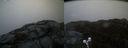./images/calvert/buxton2/20200425/buxton220200425_195502M.jpg