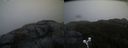 ./images/calvert/buxton2/20200427/buxton220200427_074504M.jpg