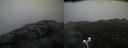 ./images/calvert/buxton2/20200427/buxton220200427_081003M.jpg
