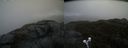 ./images/calvert/buxton2/20200427/buxton220200427_105502M.jpg