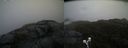 ./images/calvert/buxton2/20200427/buxton220200427_112002M.jpg