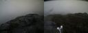 ./images/calvert/buxton2/20200427/buxton220200427_112502M.jpg