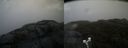 ./images/calvert/buxton2/20200427/buxton220200427_121503M.jpg