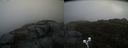./images/calvert/buxton2/20200427/buxton220200427_132503M.jpg