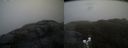 ./images/calvert/buxton2/20200427/buxton220200427_134002M.jpg