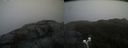./images/calvert/buxton2/20200427/buxton220200427_134502M.jpg