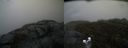 ./images/calvert/buxton2/20200427/buxton220200427_140003M.jpg