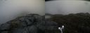 ./images/calvert/buxton2/20200427/buxton220200427_140502M.jpg