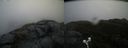 ./images/calvert/buxton2/20200427/buxton220200427_141002M.jpg