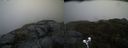 ./images/calvert/buxton2/20200427/buxton220200427_142503M.jpg