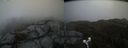 ./images/calvert/buxton2/20200427/buxton220200427_181003M.jpg