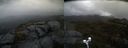 ./images/calvert/buxton2/20200428/buxton220200428_091003M.jpg