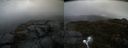 ./images/calvert/buxton2/20200428/buxton220200428_100503M.jpg