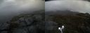 ./images/calvert/buxton2/20200428/buxton220200428_115002M.jpg