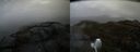 ./images/calvert/buxton2/20200428/buxton220200428_165502M.jpg