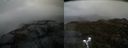 ./images/calvert/buxton2/20200428/buxton220200428_192002M.jpg