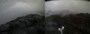 ./images/calvert/buxton2/20200428/buxton220200428_192502M.jpg