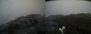 ./images/calvert/buxton2/20200429/buxton220200429_151003M.jpg