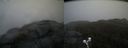 ./images/calvert/buxton2/20200429/buxton220200429_155002M.jpg