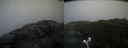 ./images/calvert/buxton2/20200429/buxton220200429_163502M.jpg