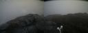 ./images/calvert/buxton2/20200429/buxton220200429_180503M.jpg