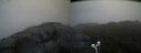 ./images/calvert/buxton2/20200429/buxton220200429_183502M.jpg