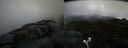 ./images/calvert/buxton2/20200429/buxton220200429_191502M.jpg