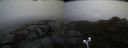 ./images/calvert/buxton2/20200430/buxton220200430_062502M.jpg