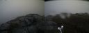 ./images/calvert/buxton2/20200430/buxton220200430_091502M.jpg