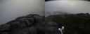 ./images/calvert/buxton2/20200430/buxton220200430_102503M.jpg