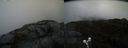 ./images/calvert/buxton2/20200430/buxton220200430_103503M.jpg
