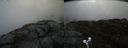 ./images/calvert/buxton2/20200430/buxton220200430_104003M.jpg