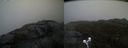 ./images/calvert/buxton2/20200430/buxton220200430_104503M.jpg