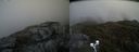 ./images/calvert/buxton2/20200430/buxton220200430_144502M.jpg