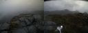 ./images/calvert/buxton2/20200501/buxton220200501_182503M.jpg