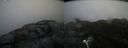 ./images/calvert/buxton2/20200502/buxton220200502_132503M.jpg