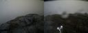 ./images/calvert/buxton2/20200502/buxton220200502_134003M.jpg