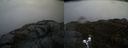 ./images/calvert/buxton2/20200502/buxton220200502_134503M.jpg