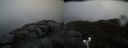 ./images/calvert/buxton2/20200502/buxton220200502_172502M.jpg